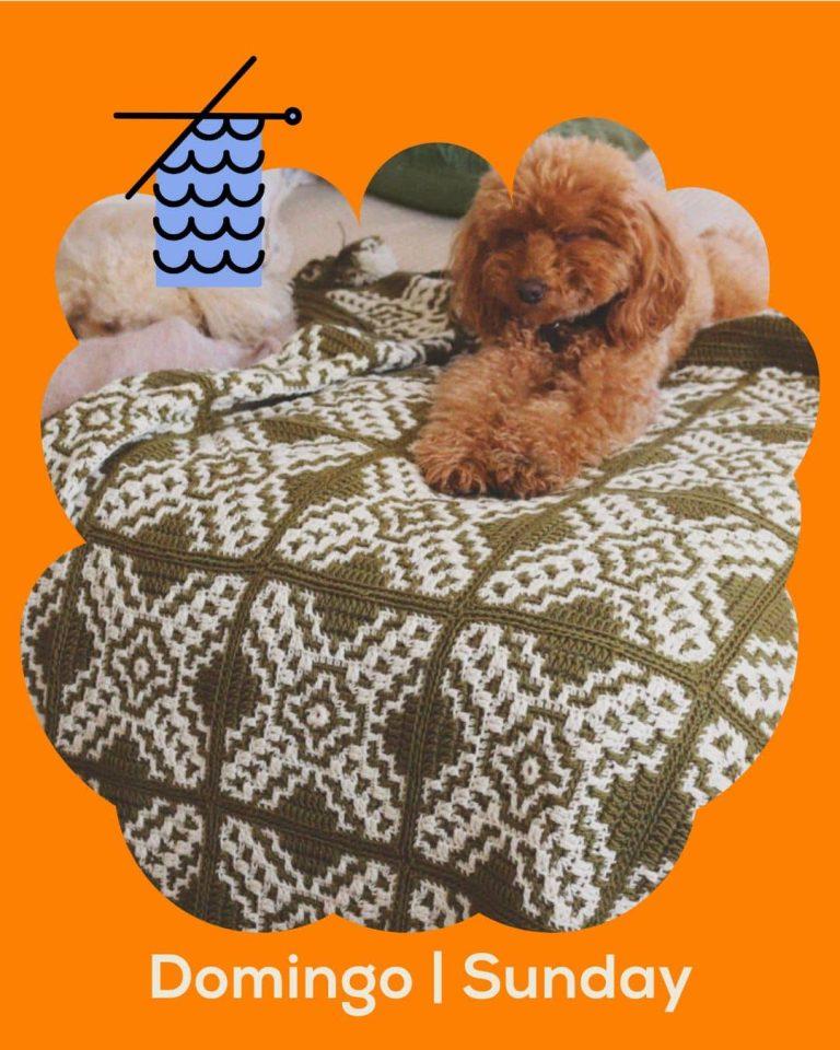 Susimiu | Los secretos del Mosaic Crochet. Dale forma y color a tus proyectos